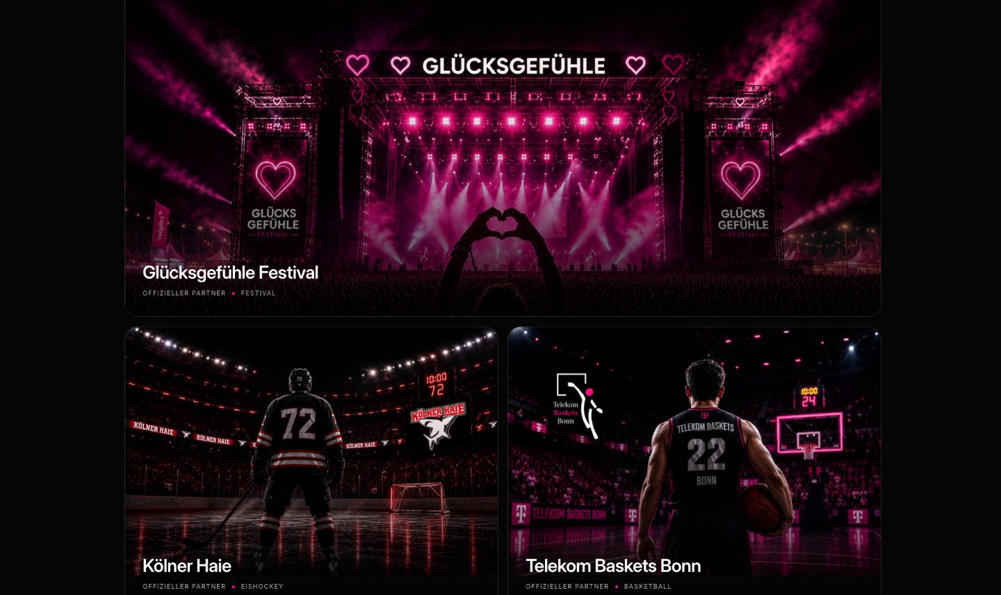 Festivals und Sport – Ausschnitt aus der Website Holy Ice
