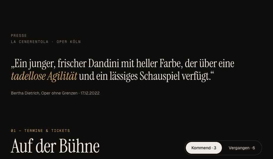 Stimmen aus der Kritik – Ausschnitt aus dem Konzept für Wolfgang Stefan Schwaiger